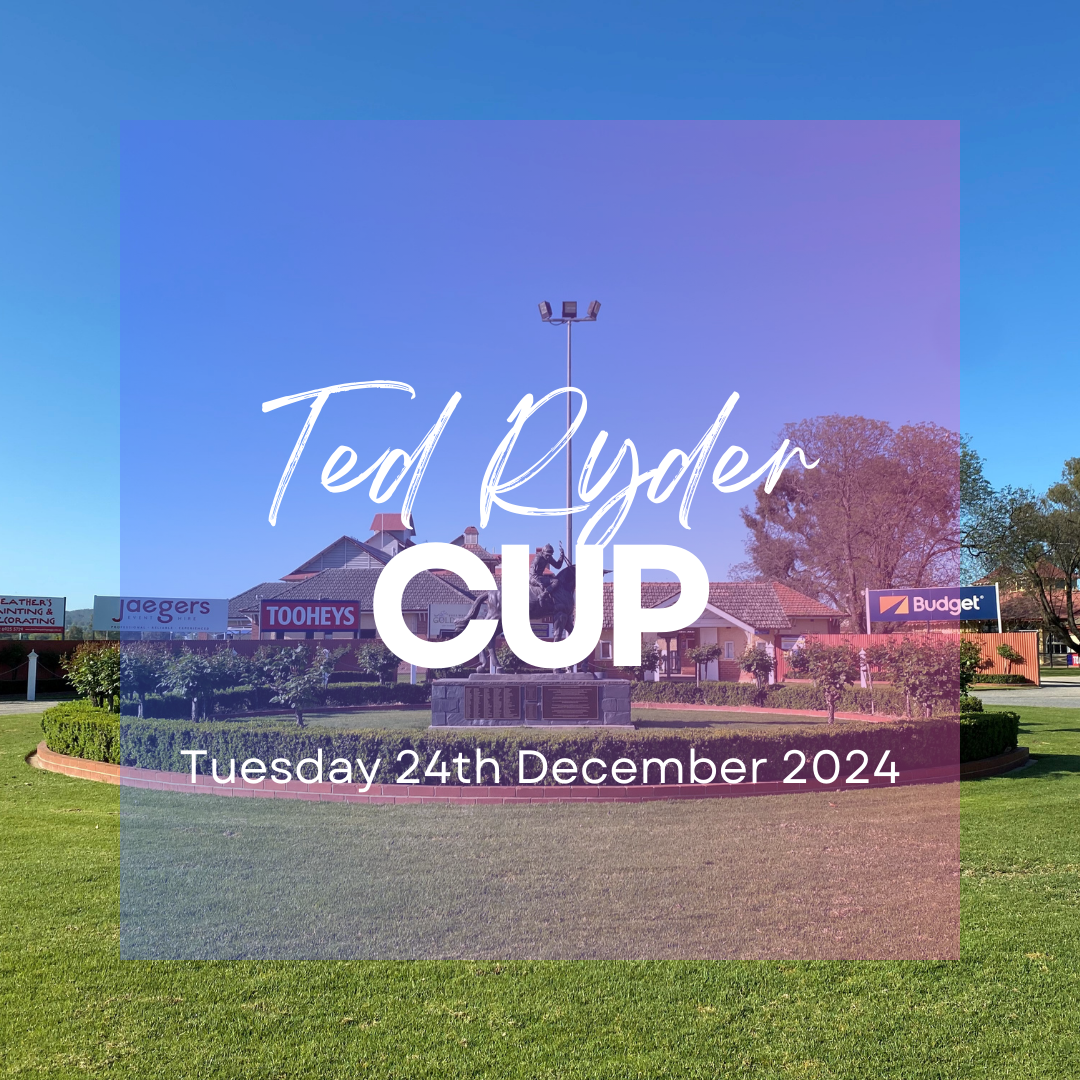 Ted Ryder Cup / Xmas Eve Races
